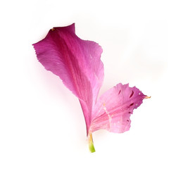 Similar image 22271772