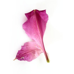 Similar image 22271773