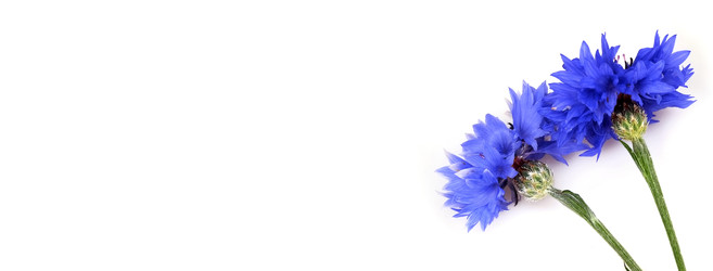 Similar image 22271774