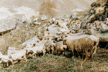 Similar image 22267628