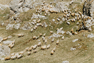 Similar image 22267629