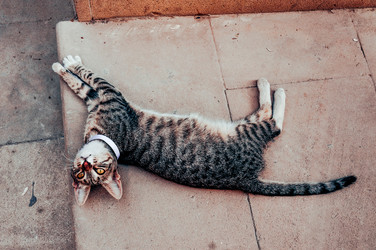 Similar image 22267630