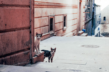 Similar image 22267773