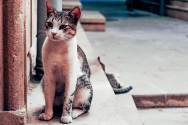 Similar image 22267774