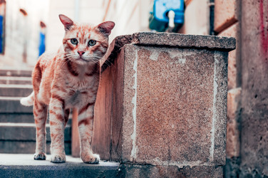 Similar image 22267775