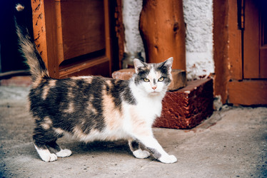 Similar image 22267776