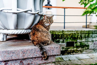 Similar image 22267777