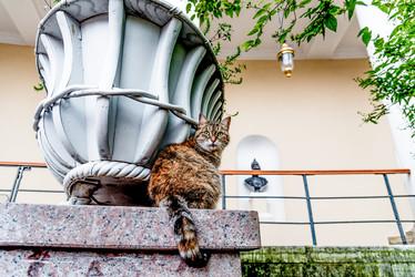 Similar image 22267778