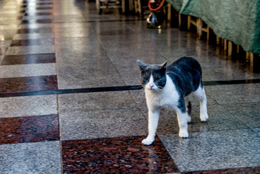 Similar image 22267780