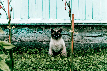 Similar image 22267781