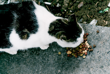 Similar image 22267782