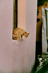 Similar image 22267783