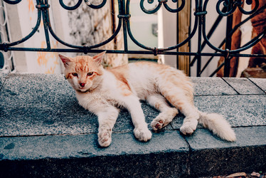 Similar image 22267784