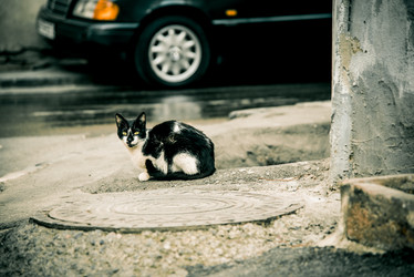 Similar image 22268138