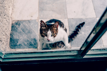 Similar image 22268139