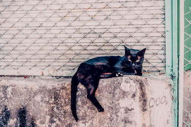 Similar image 22268140