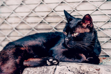 Similar image 22268141