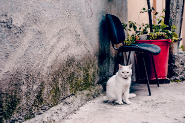 Similar image 22268143