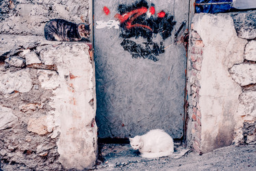 Similar image 22268144