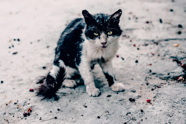 Similar image 22268145