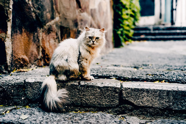 Similar image 22268147