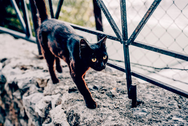 Similar image 22268148