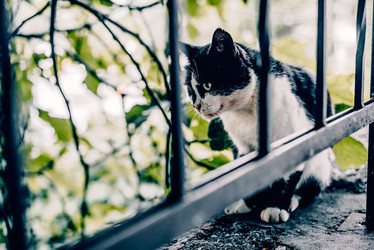 Similar image 22268149