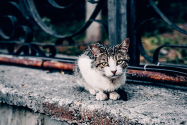 Similar image 22268150