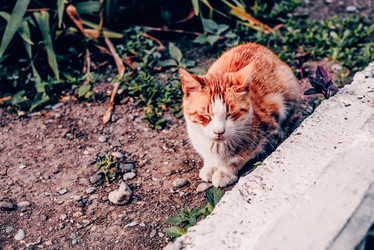 Similar image 22268151