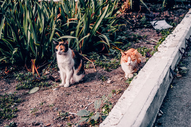 Similar image 22268152