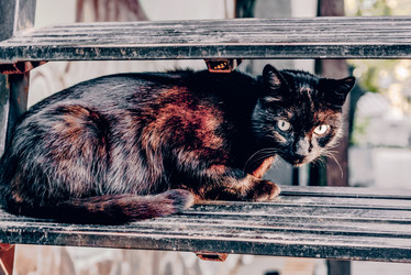 Similar image 22268155