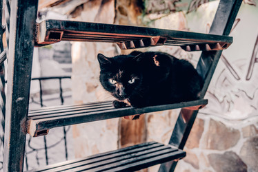 Similar image 22268156