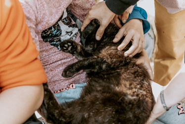 Similar image 22268158