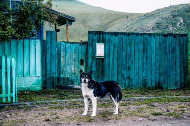 Similar image 22268159