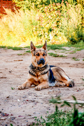 Similar image 22268160