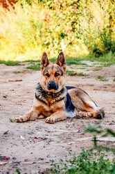 Similar image 22268161