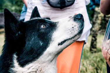 Similar image 22268162