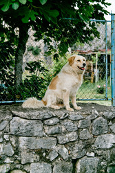 Similar image 22268166