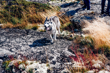 Similar image 22256415