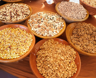 Similar image 22271843