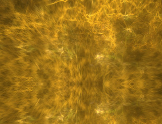 Similar image 22280220