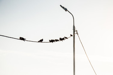 Similar image 22268167