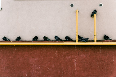 Similar image 22268171