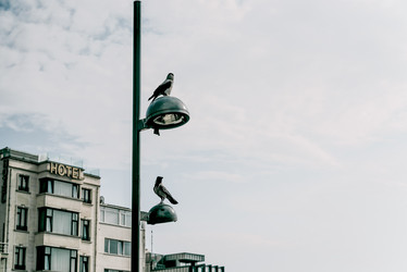 Similar image 22268173