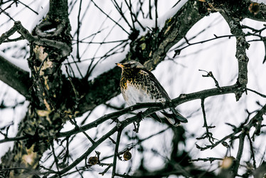 Similar image 22268174