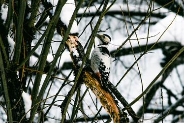 Similar image 22268175