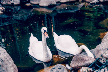 Similar image 22268176