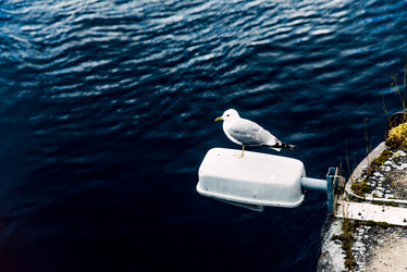 Similar image 22268177