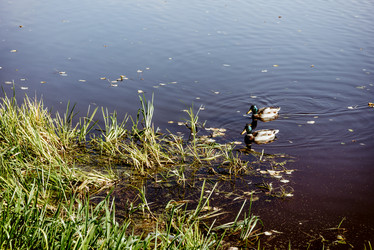 Similar image 22268179