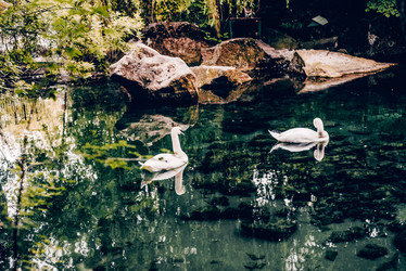 Similar image 22268180